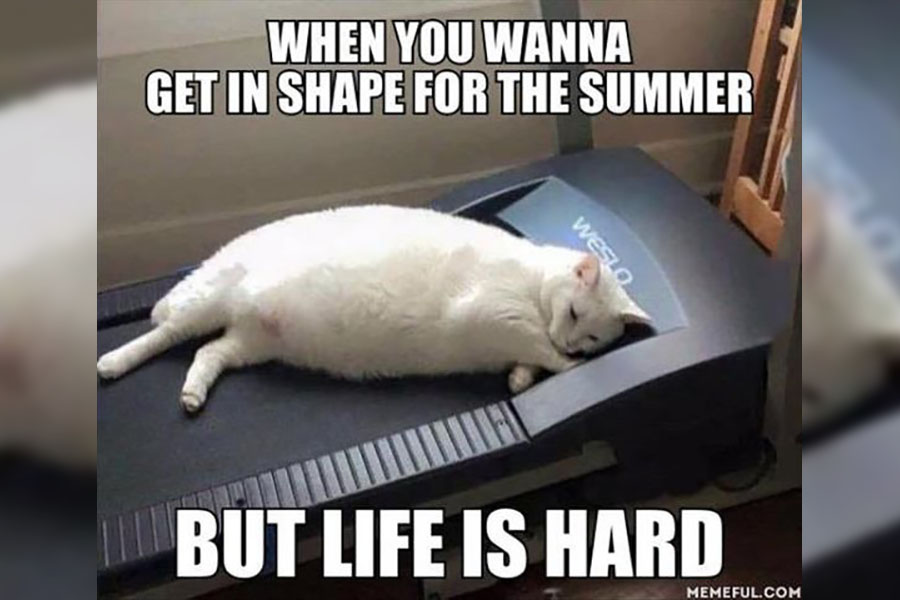 Sometimes you just gotta lay down on a treadmill.