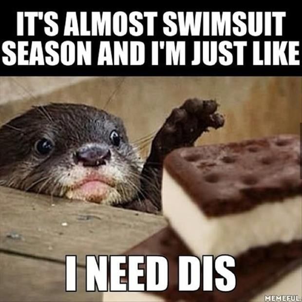 I may be dieting, but that doesn’t mean I’m giving up ice cream!
