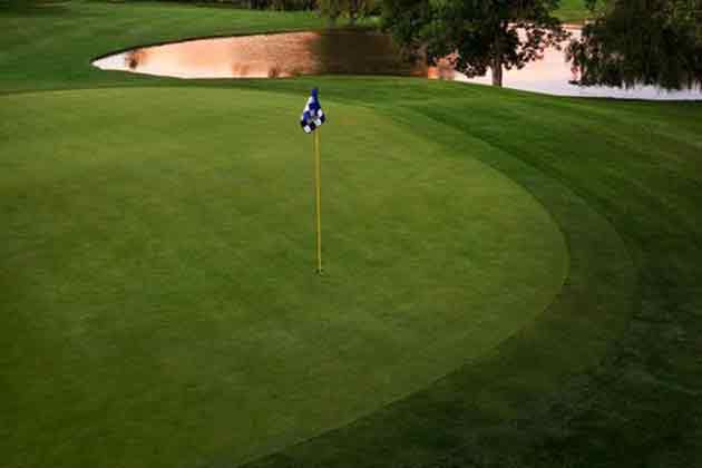 Golfing