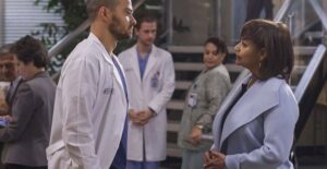 image of greys anatomy