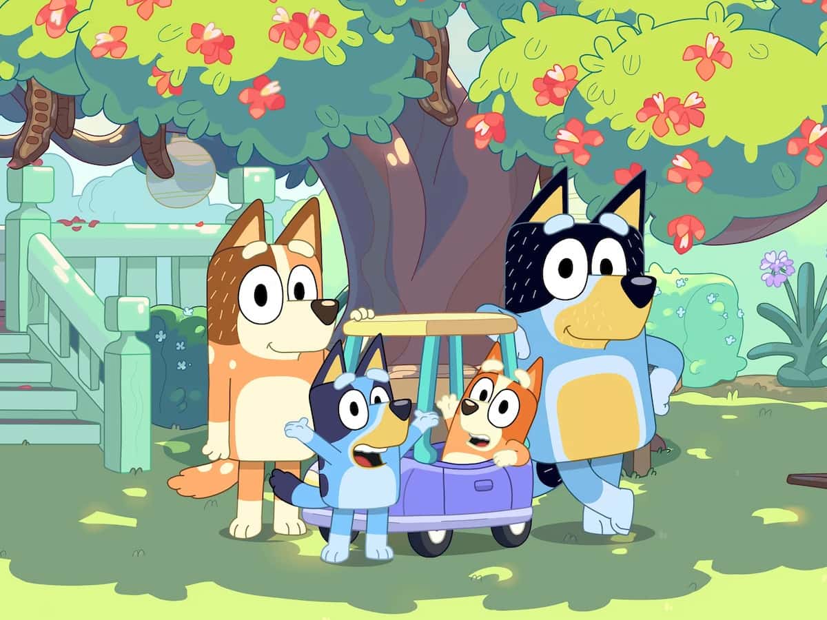 Best: Bluey