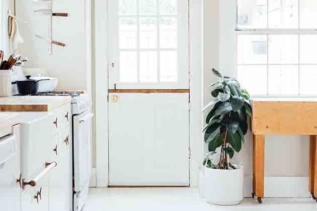 Do: Embrace Plants