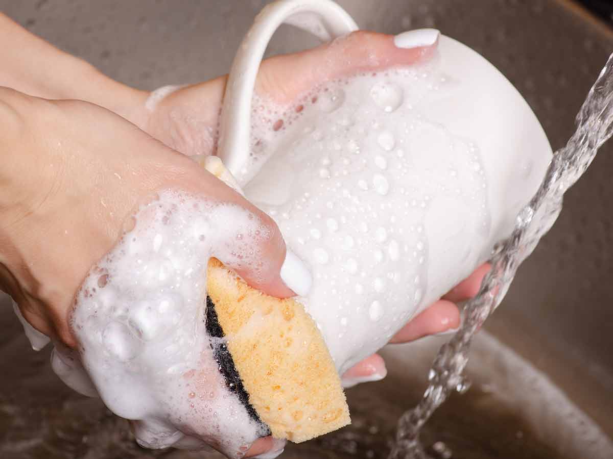 Load the Dishwasher