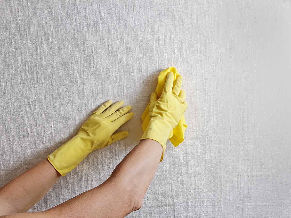Wipe Down Walls