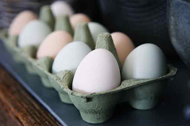 Eggs