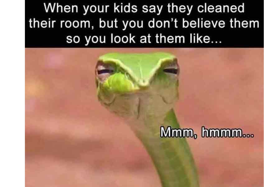 SURE, you did.