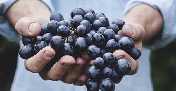 25 Foods Loaded with Harmful Chemicals