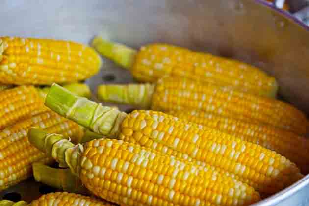Corn