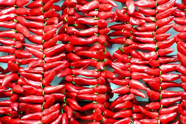 Hot Peppers