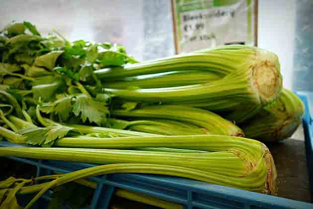 Celery