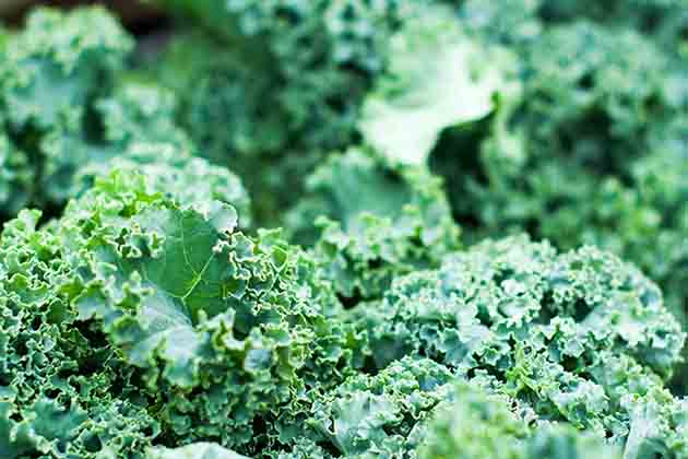 Kale