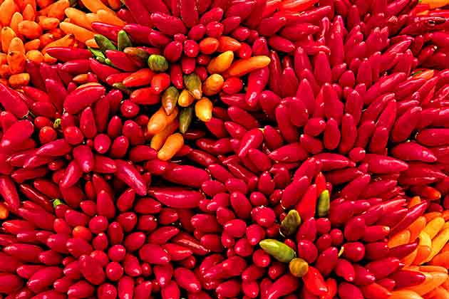 Heat up with Peppers