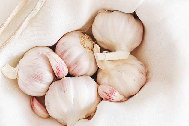 Garlic
