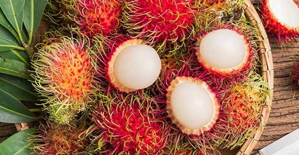 30 Weirdest Fruits and Vegetables