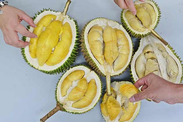 Durian