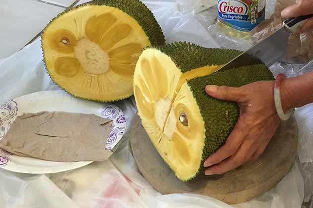 Jackfruit