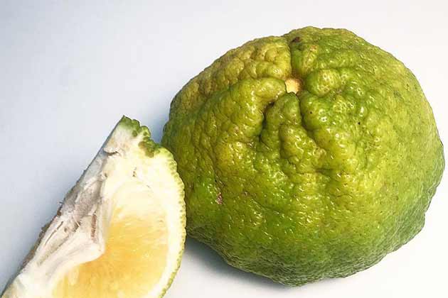 Ugli Fruit