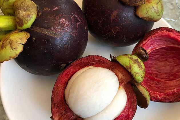 Purple Mangosteen