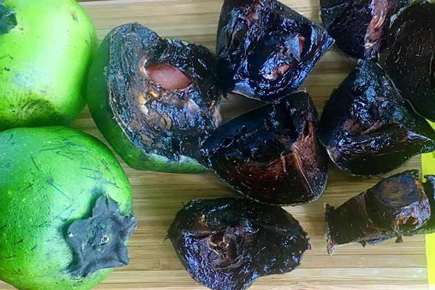 Black Sapote