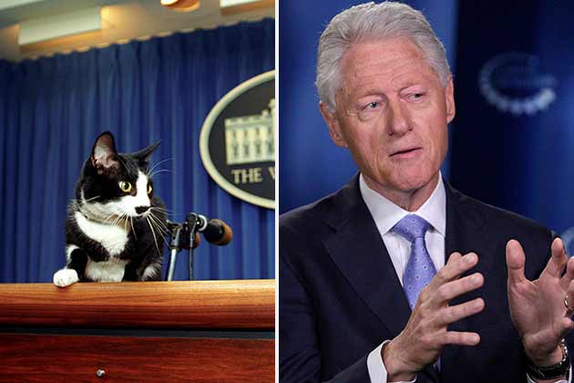 Bill Clinton – Socks the Cat