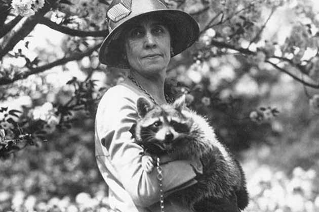 Calvin Coolidge – Rebecca and Reuben the Raccoons
