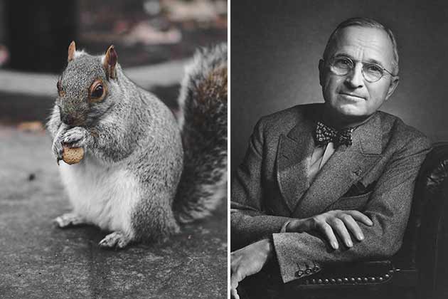 Harry S. Truman – Pete the Squirrel
