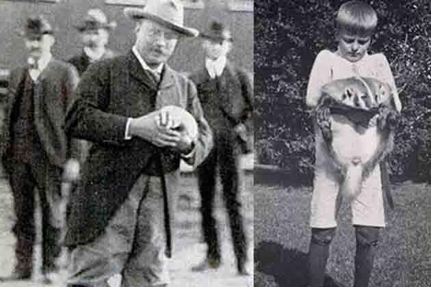Theodore Roosevelt – Josiah the Badger