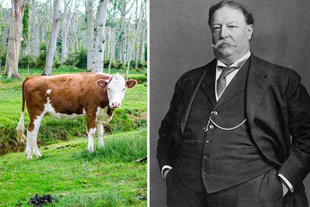 William Taft – Pauline Wayne and Mooly Wooly, the Cows