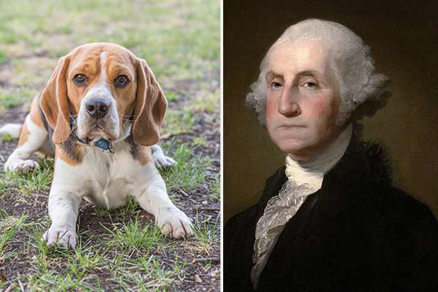 George Washington – Foxhounds