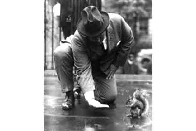 Warren Harding – Pete the Squirrel