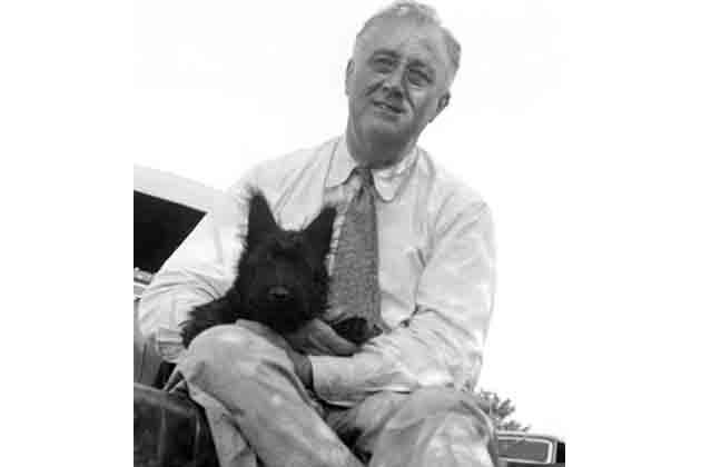 Franklin D. Roosevelt – Fala the Scottish Terrier