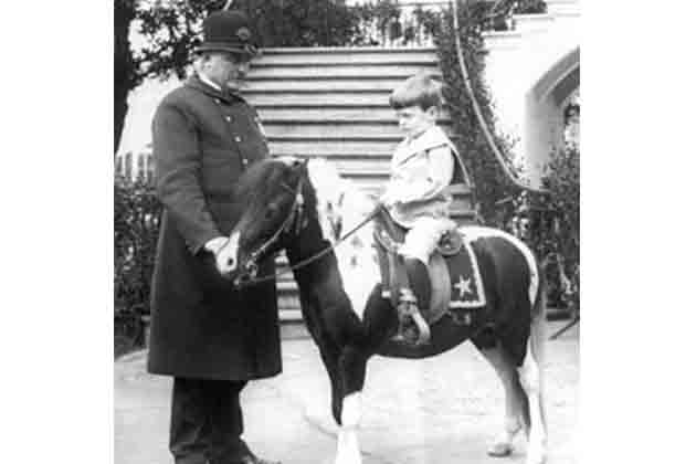 Theodore Roosevelt – Basically a Zoo