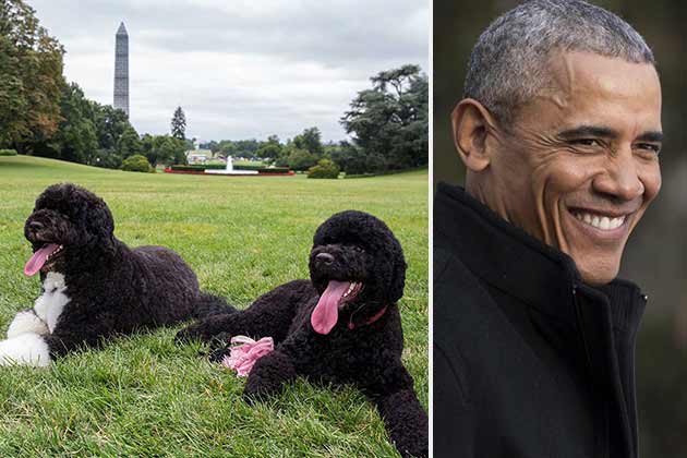 Barack Obama – Bo and Sunny the Portuguese Water Dogs