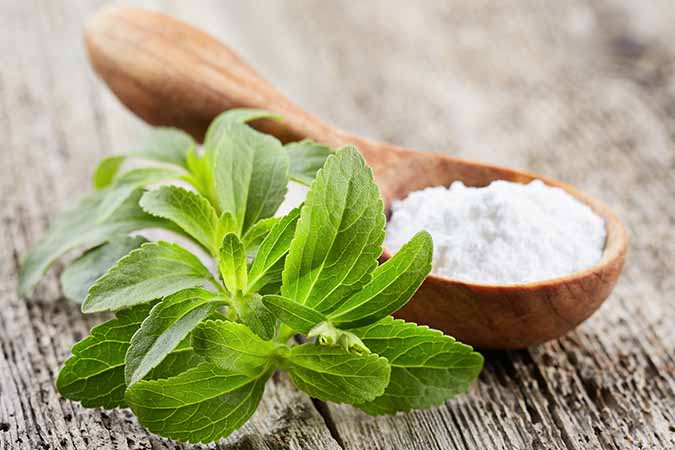 Stevia