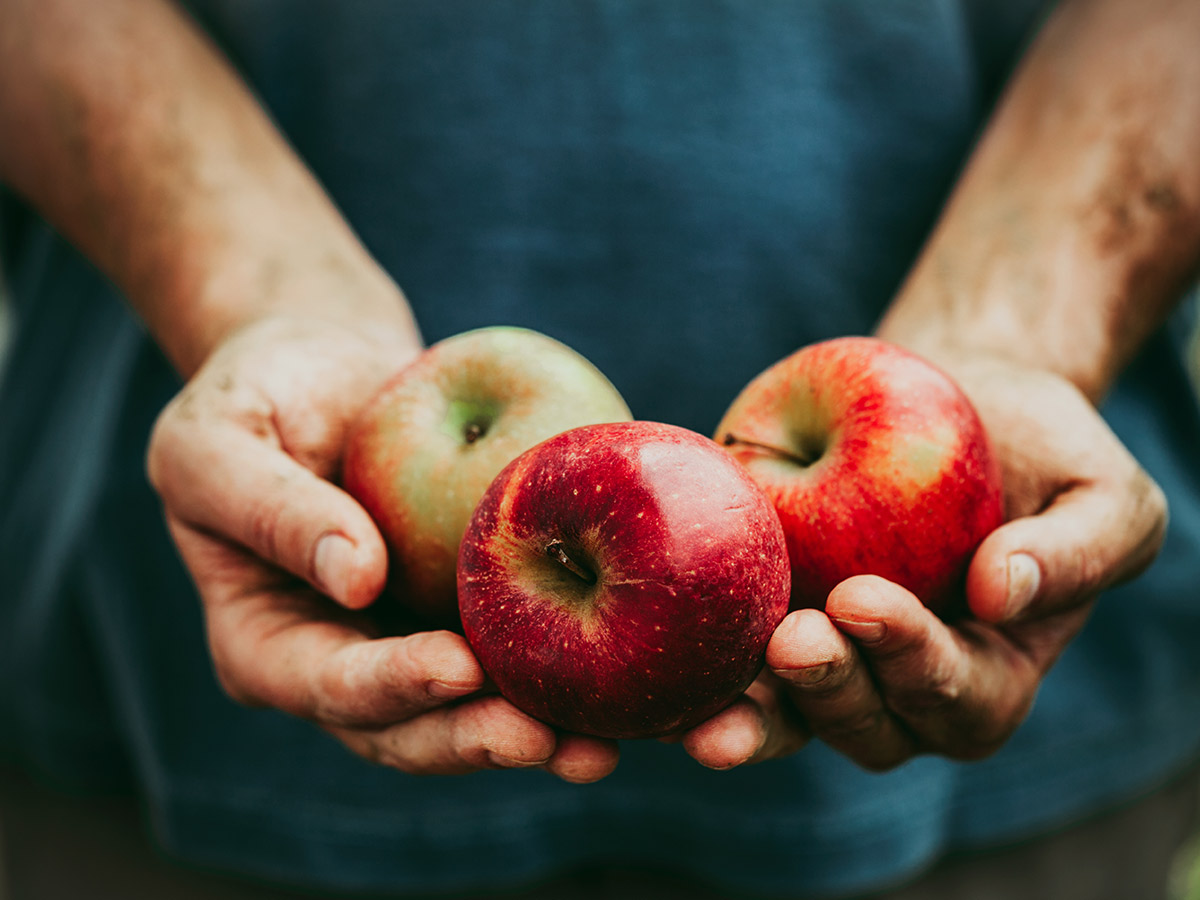 Apples