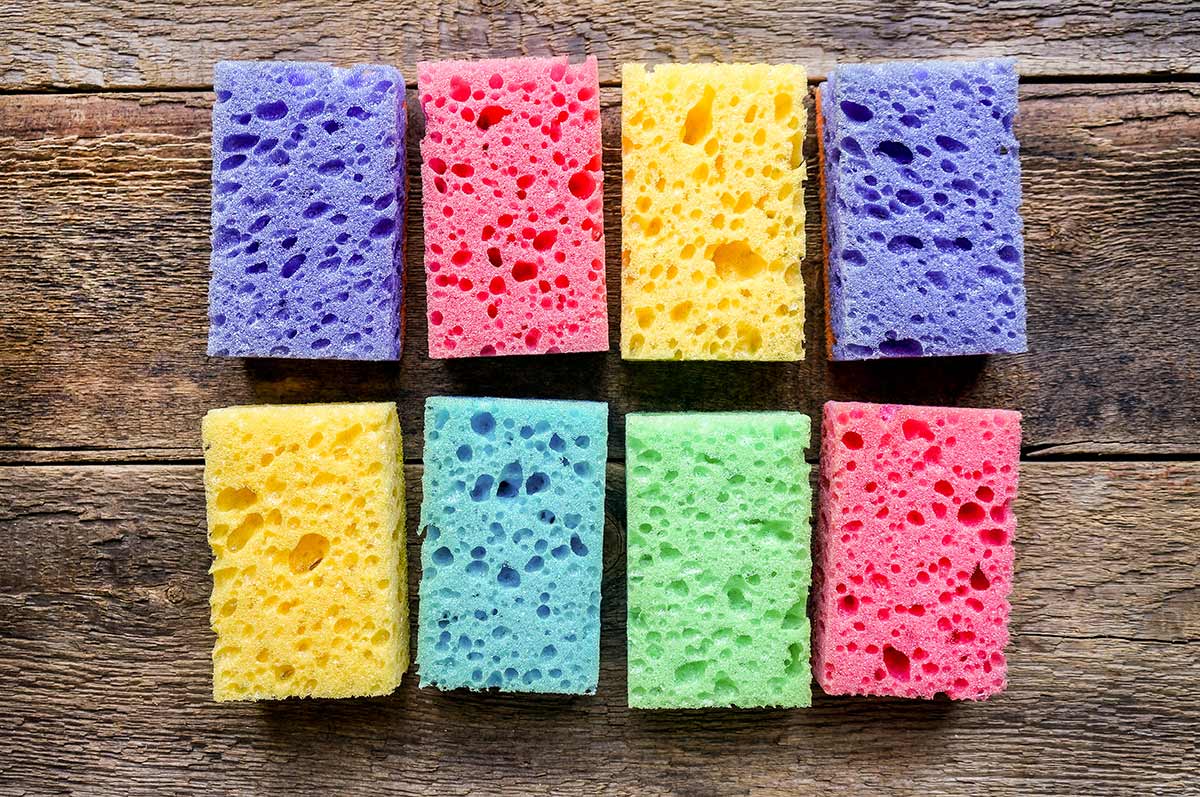 Renewing Sponges