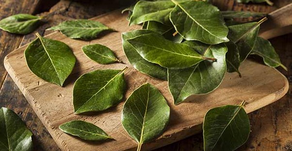 bay leaves