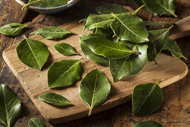 Bay Leaves