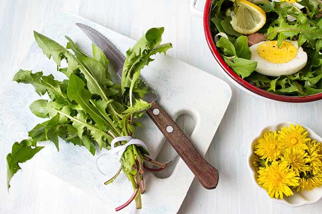 Dandelion Leaves