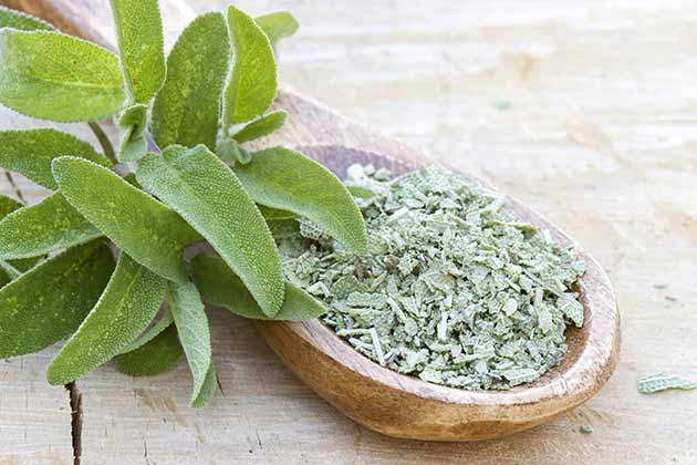 Sage