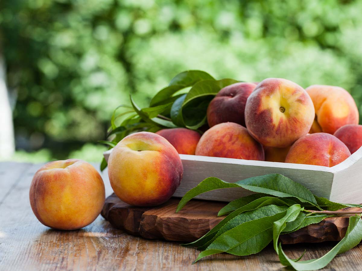 Peaches