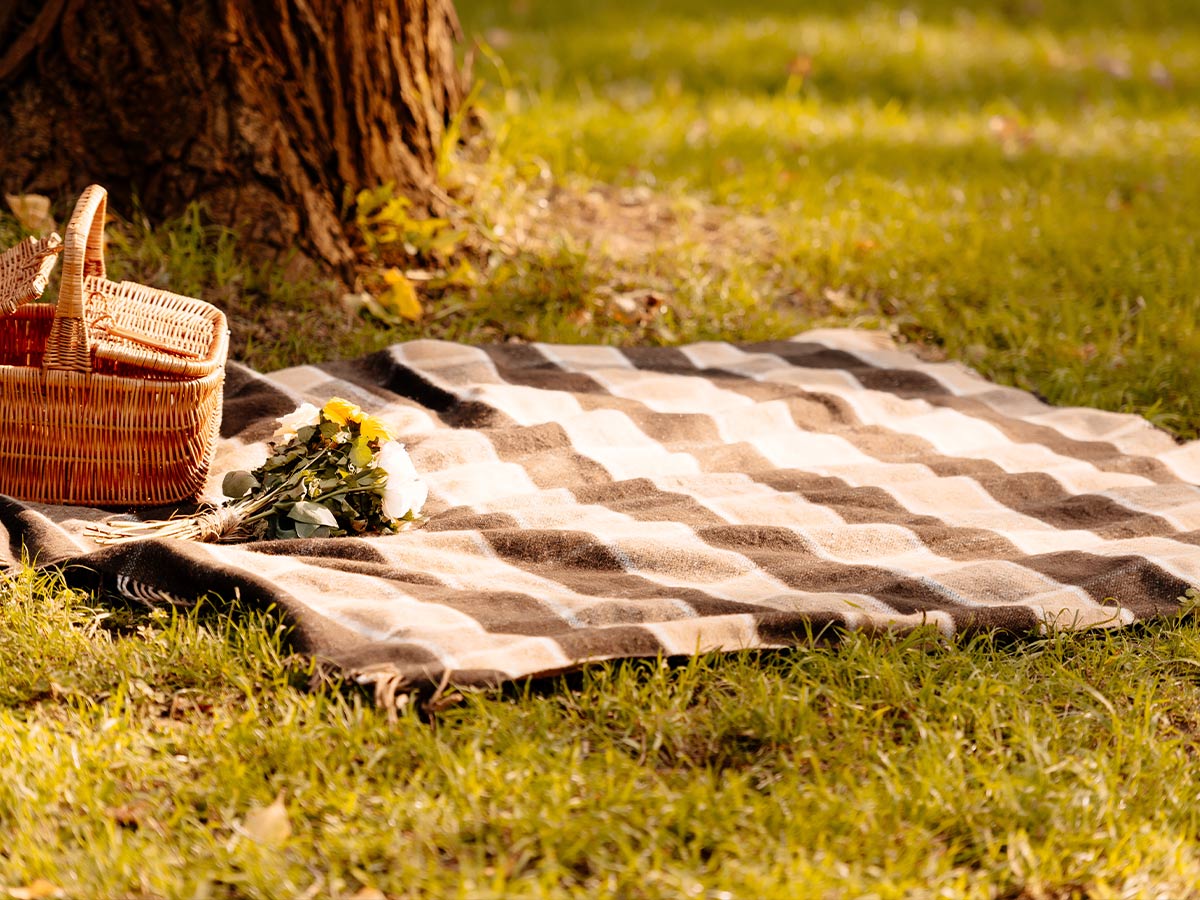 Blankets as Seats