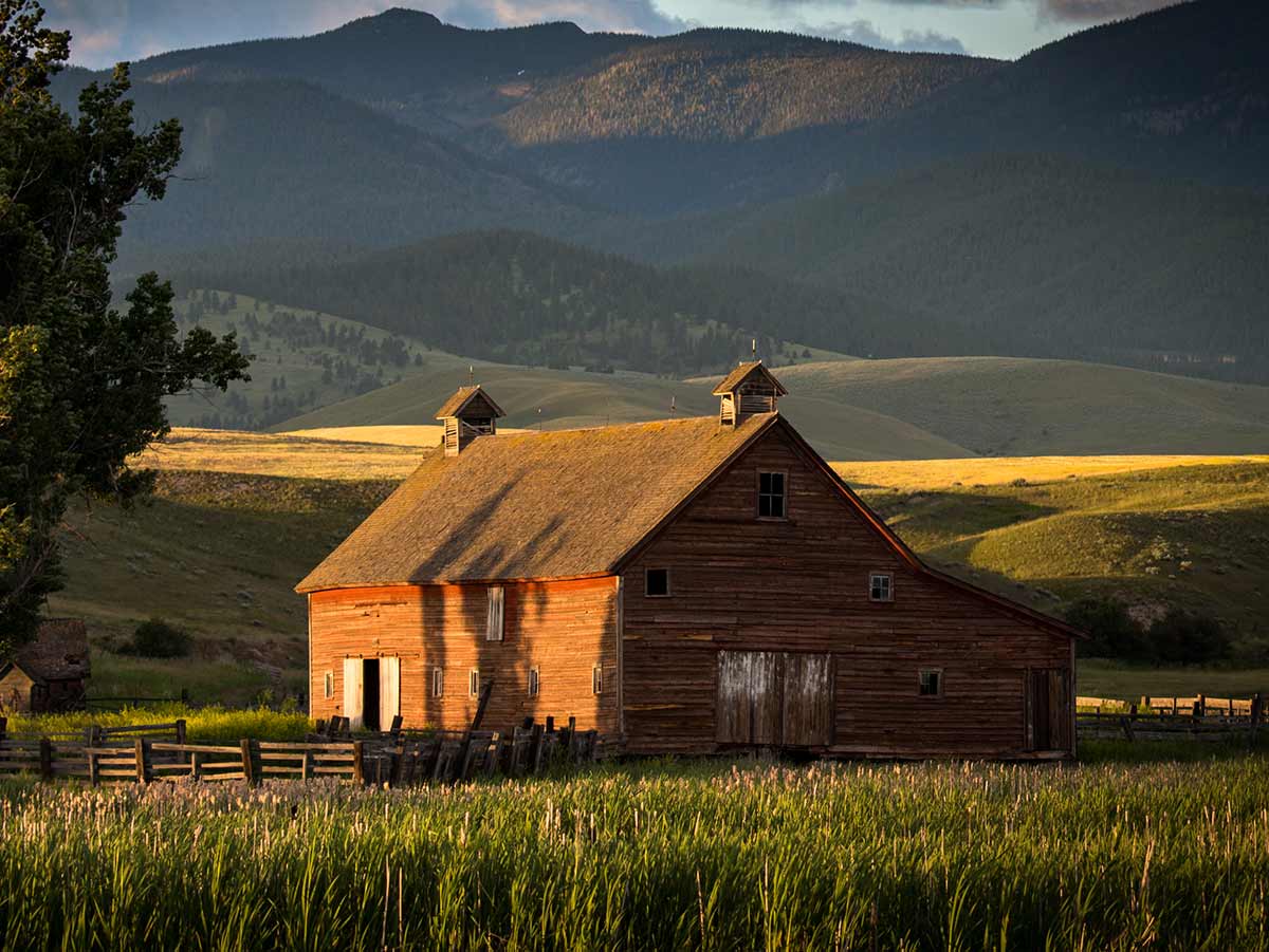 Montana—Best