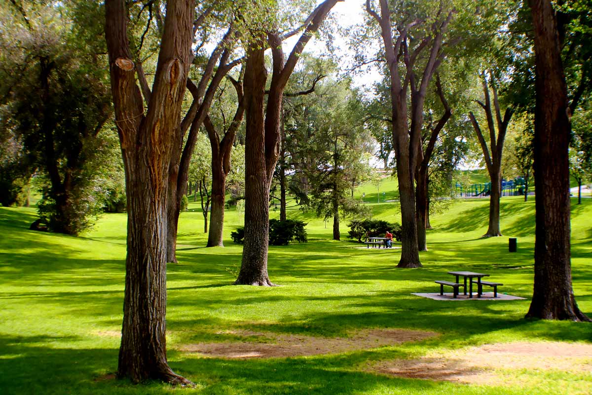 Albuquerque, NM