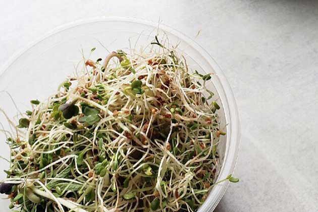 Sprouts