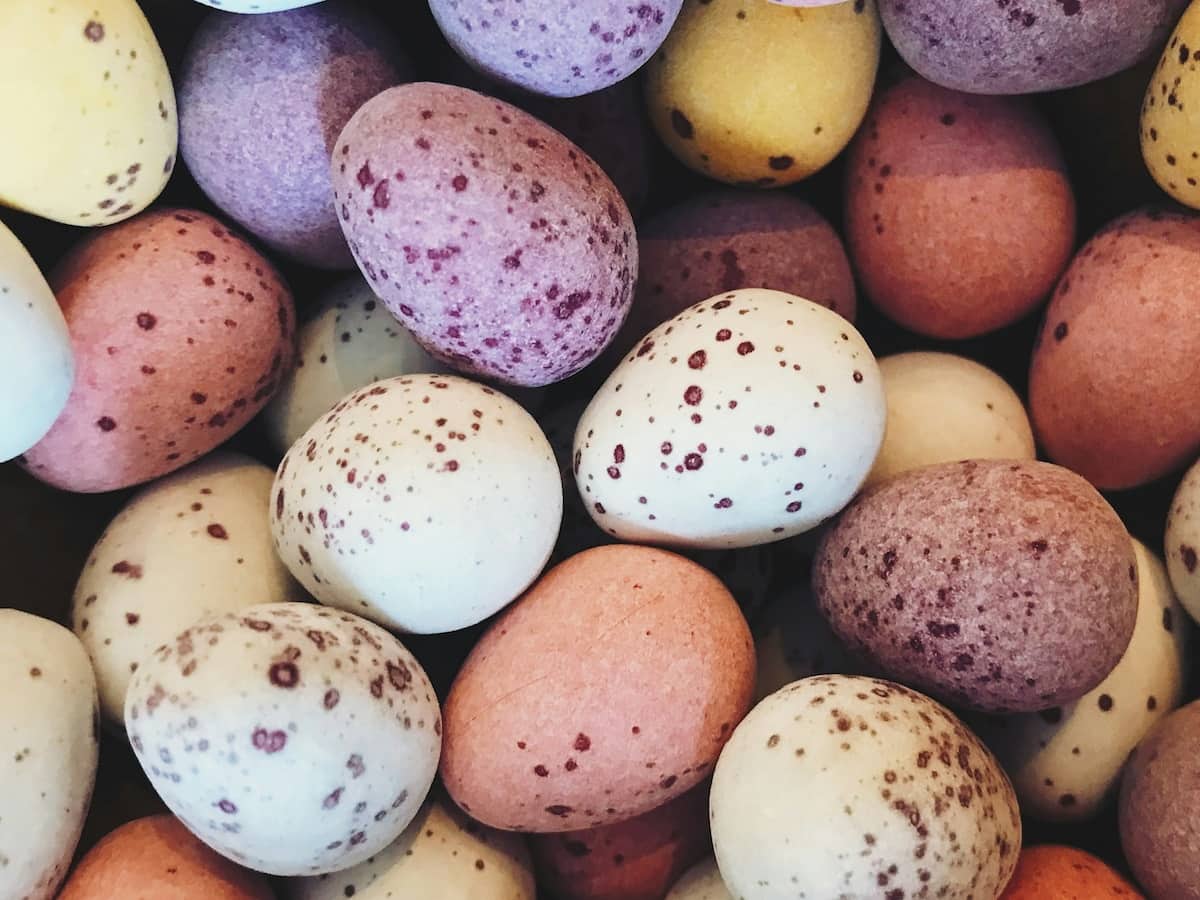 Eggs
