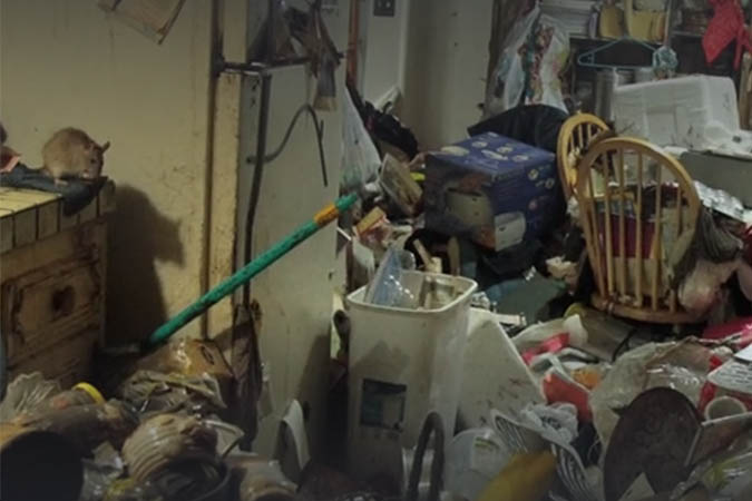 A Viral Hoard