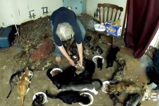 The Cat Lady