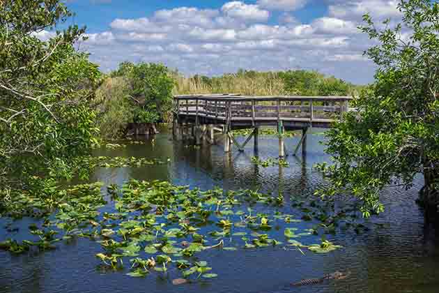 Everglades National Park, Florida