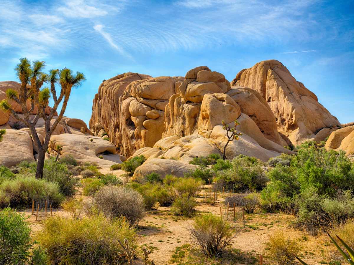 Joshua Tree National Park, California